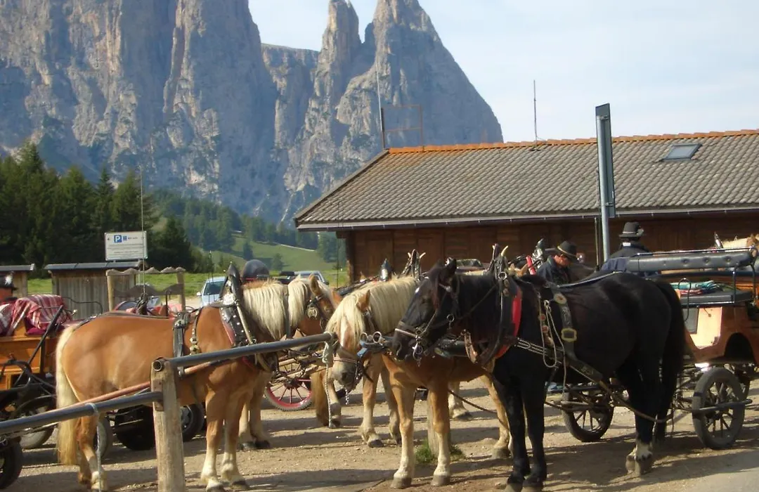 Zentrum Bozen-Rosengartenblick-1