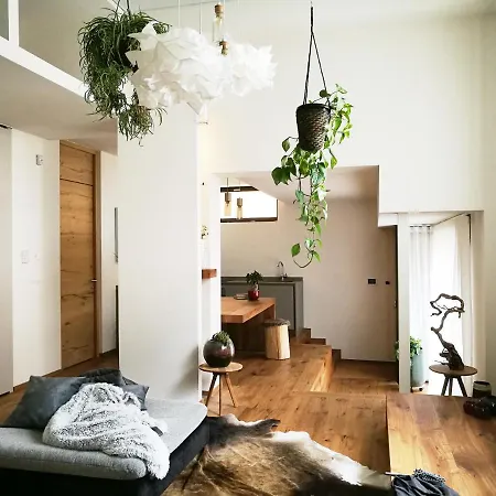 Loft Del Talvera 1-2