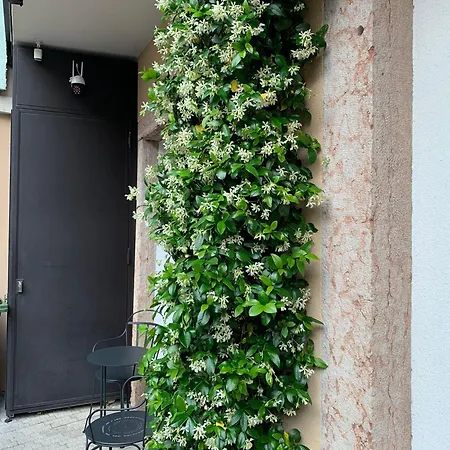 Villa Jasmine-3